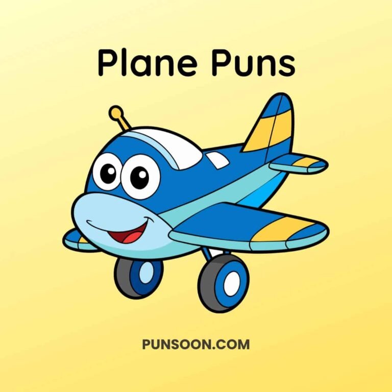 Plane Puns